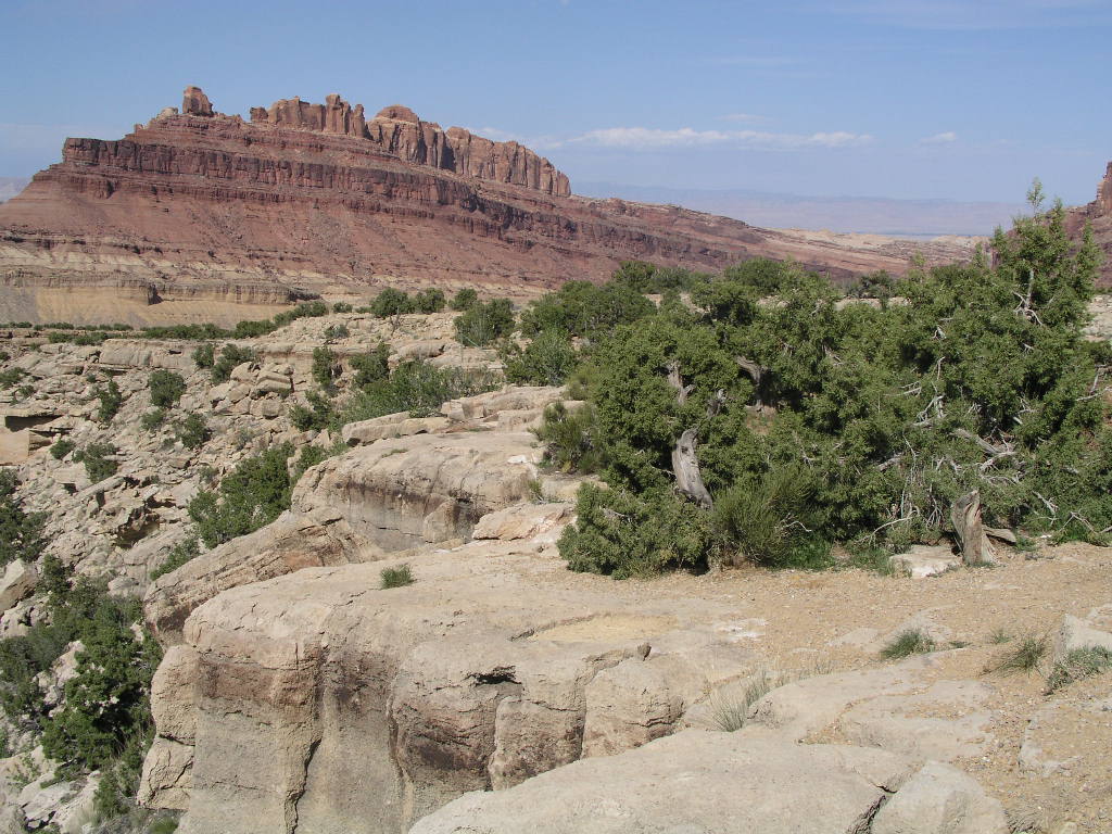 P5030036