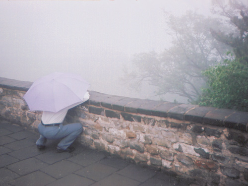The Beauty of Rain